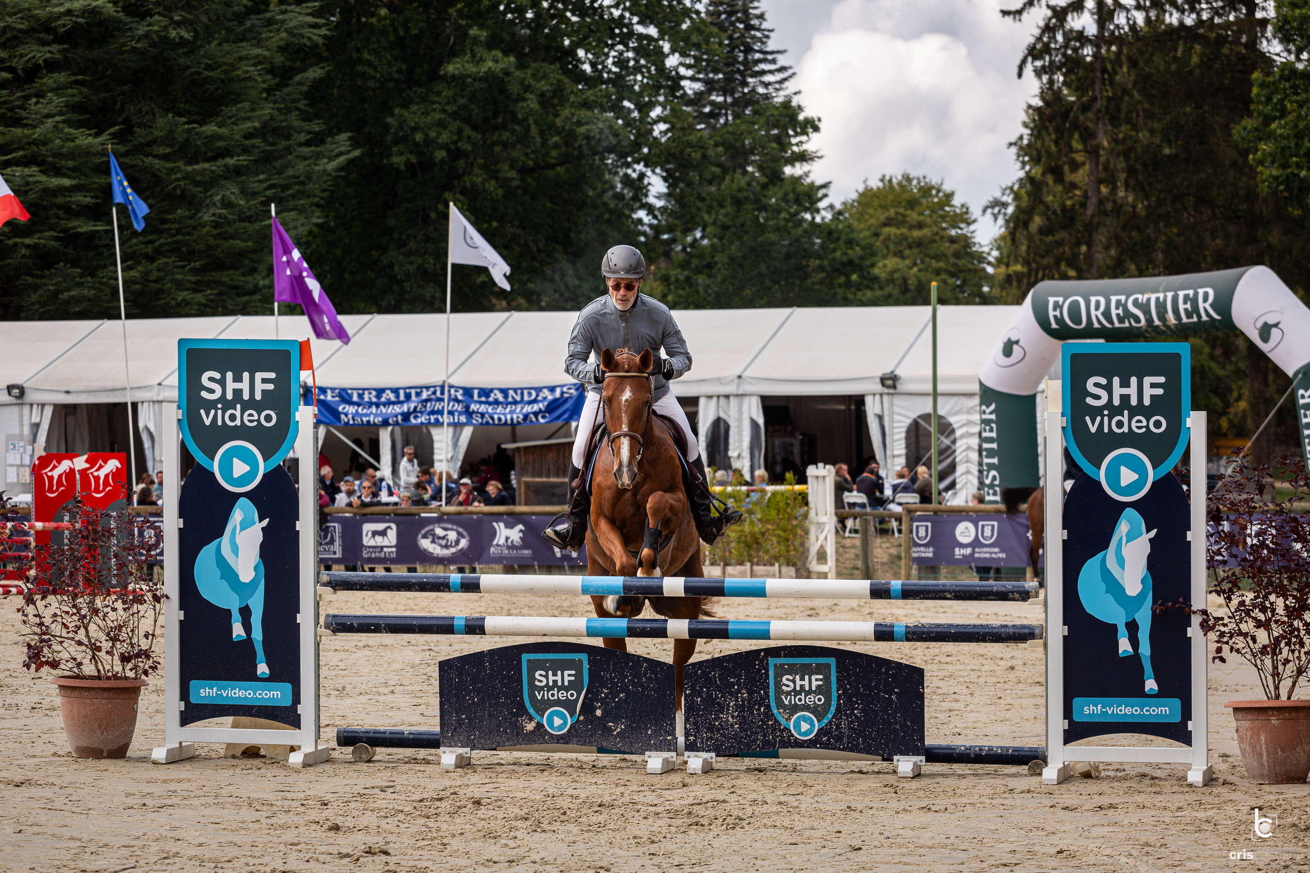 Les coulisses de la Journée du Cheval - photo 4