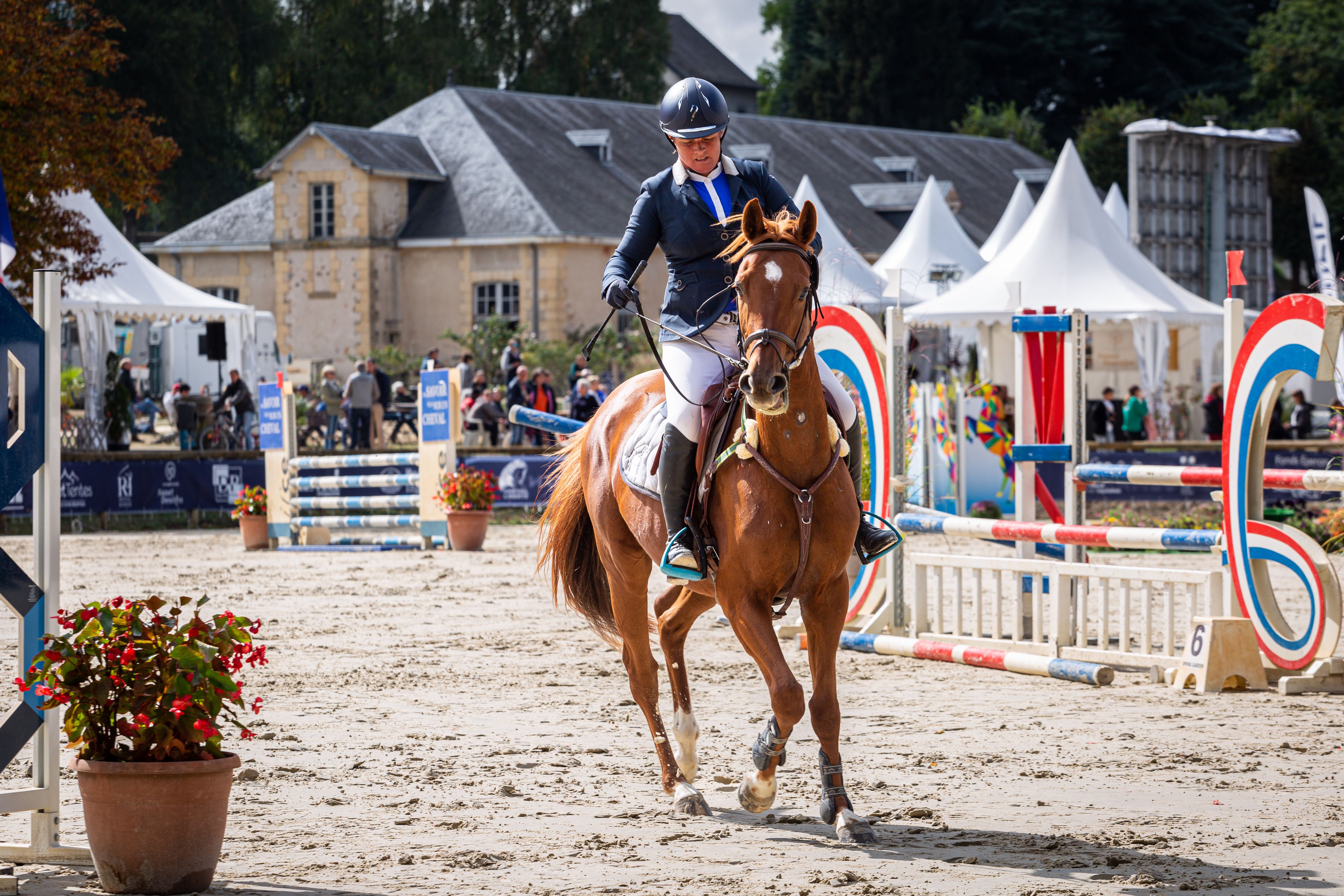 Les coulisses de la Journée du Cheval - photo 2