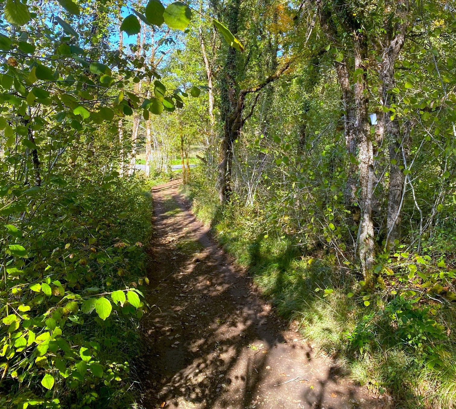 Boucle de Lambaudie, Cubjac-Auvézère-Val d'Ans - photo 3
