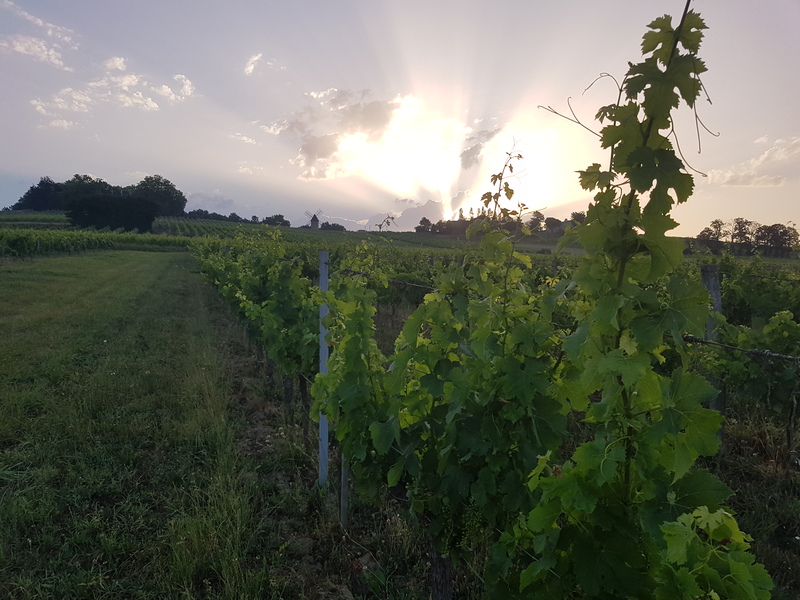 Domaines Tich et Grava - photo 3