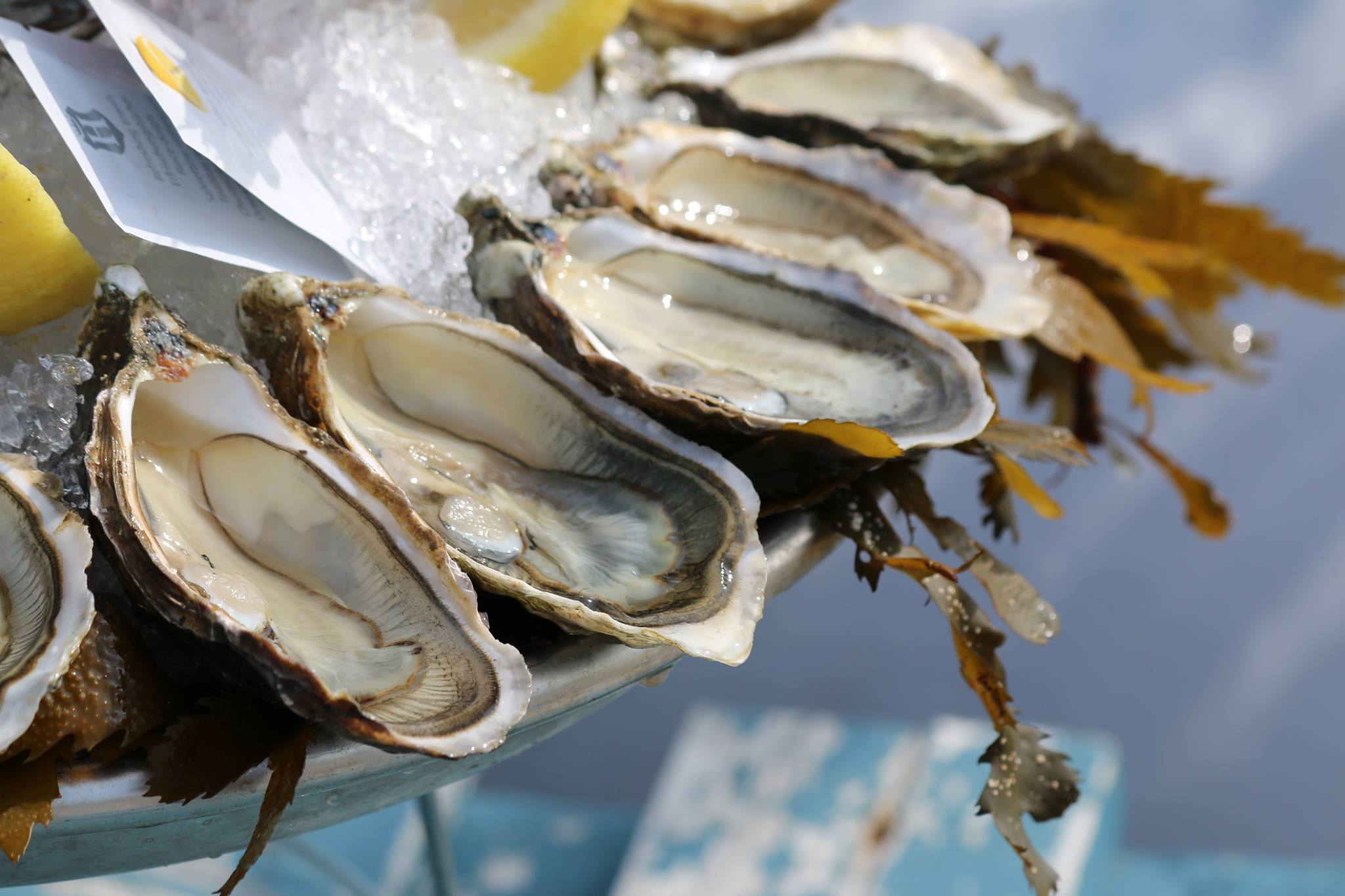 Kaya Dégustation - photo 2