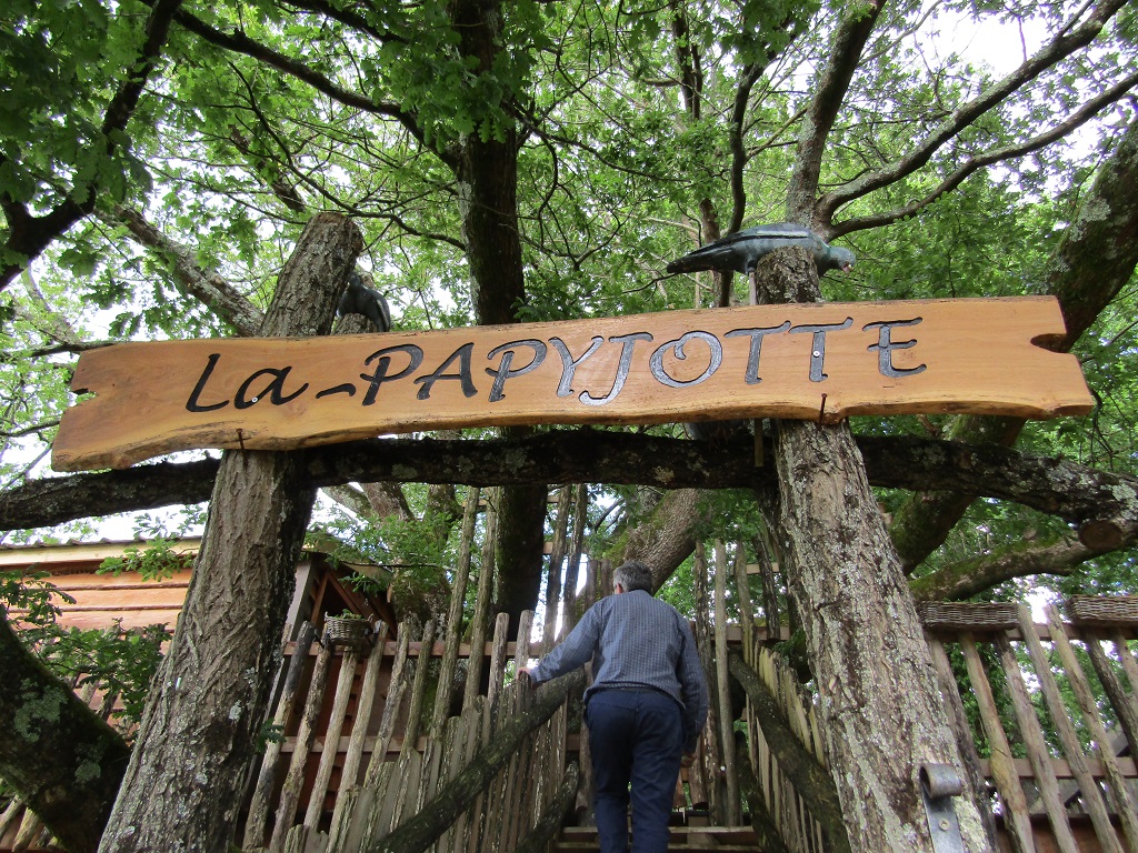 Cabane dans les arbres : la Papyjotte, Montfort-en-Chalosse - photo 24