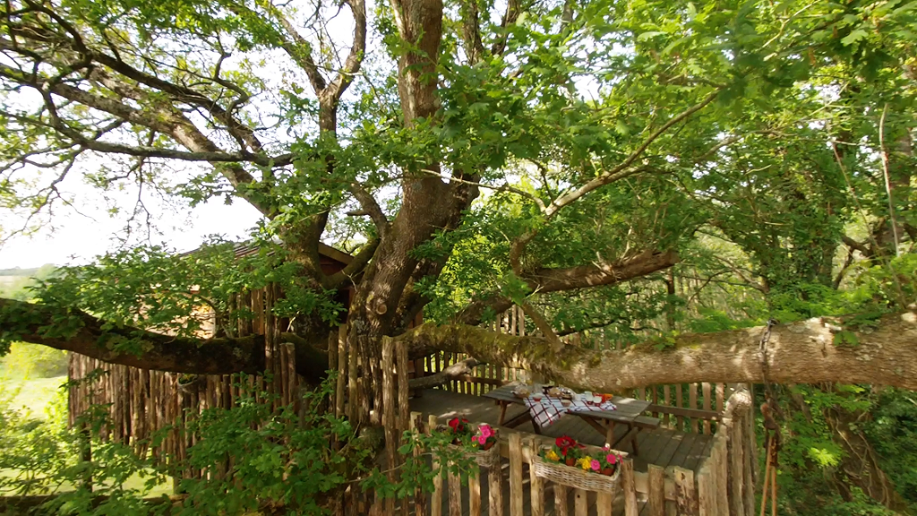 Cabane dans les arbres : la Papyjotte, Montfort-en-Chalosse - photo 3