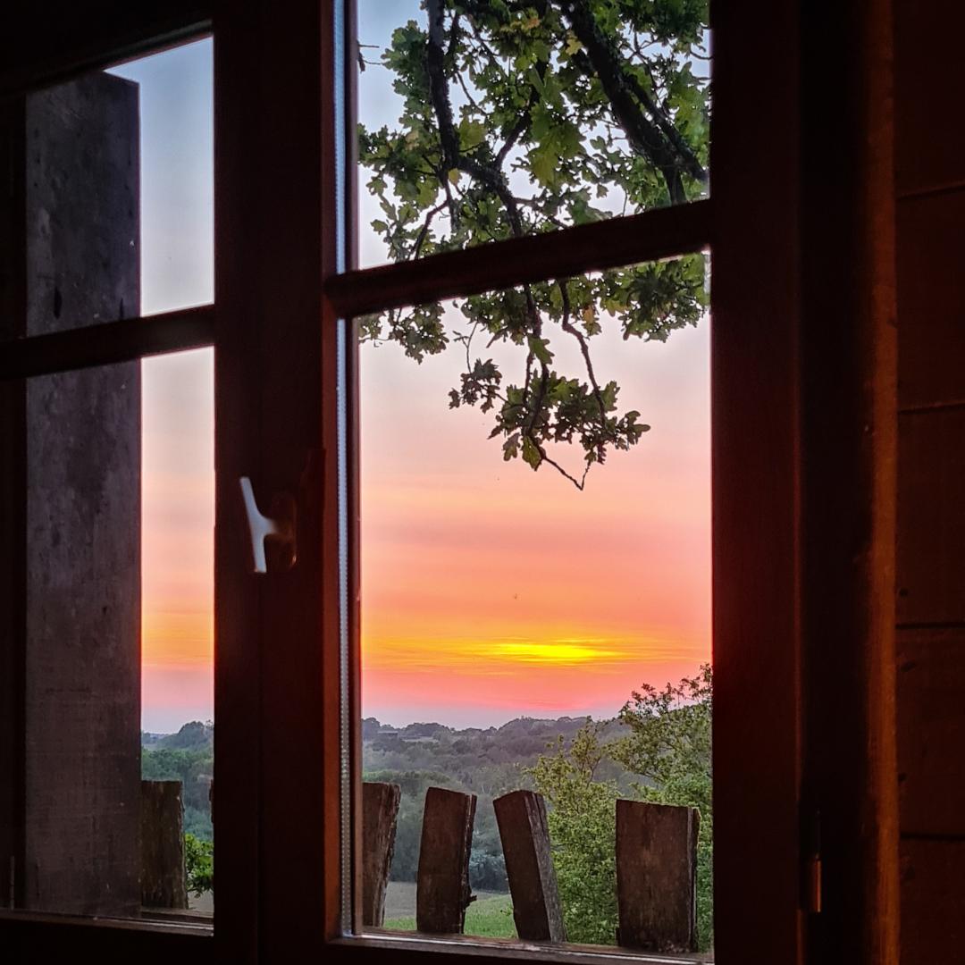Cabane dans les arbres : la Papyjotte, Montfort-en-Chalosse - photo 15