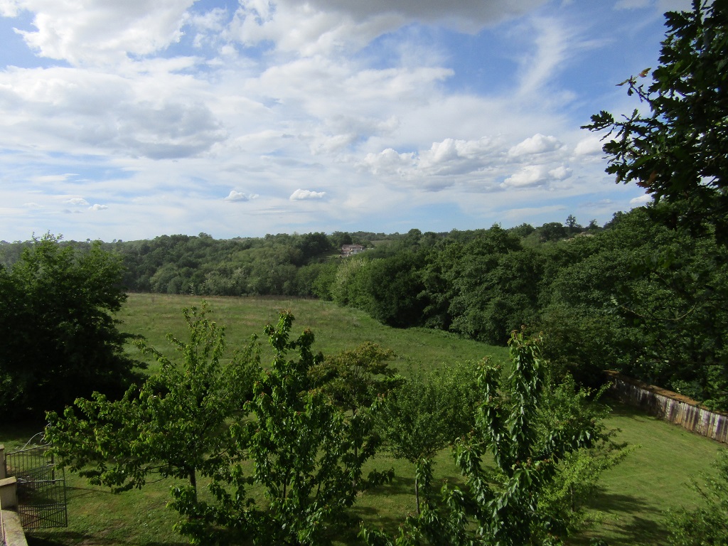 Cabane dans les arbres : la Papyjotte, Montfort-en-Chalosse - photo 25
