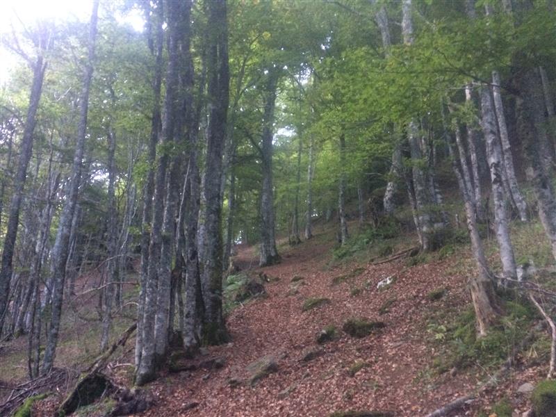 La cabane de Saoubiste