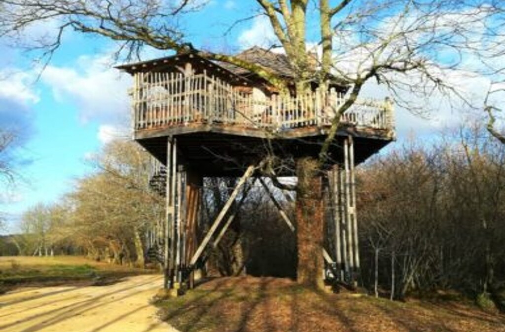 Cabanes perchées dans les arbres, Capdrot - photo 7