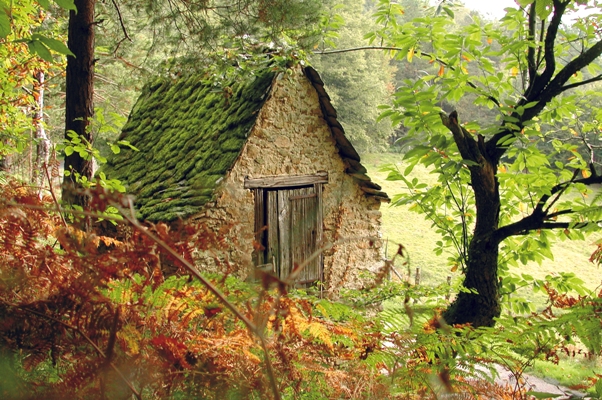 Le sentier des deux Puys — photo 3
