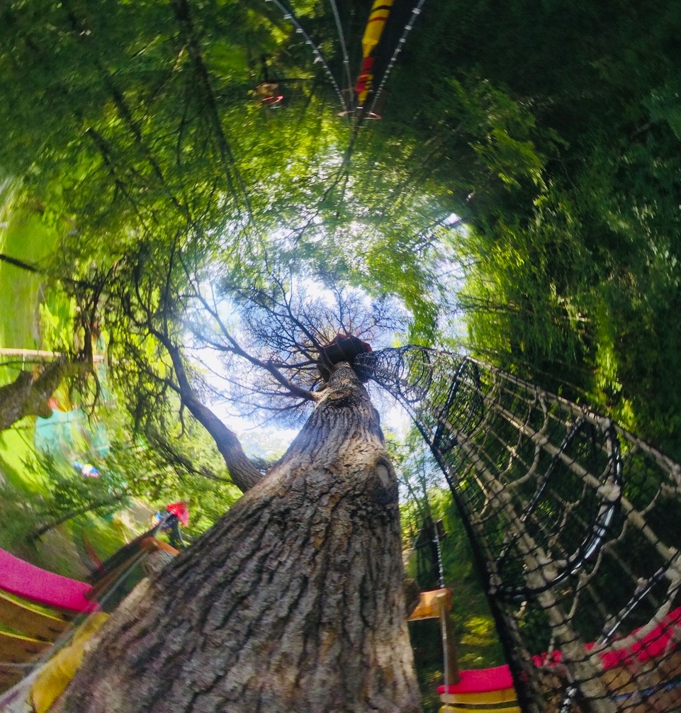 Le Bois des Lutins, Le Bugue - photo 2