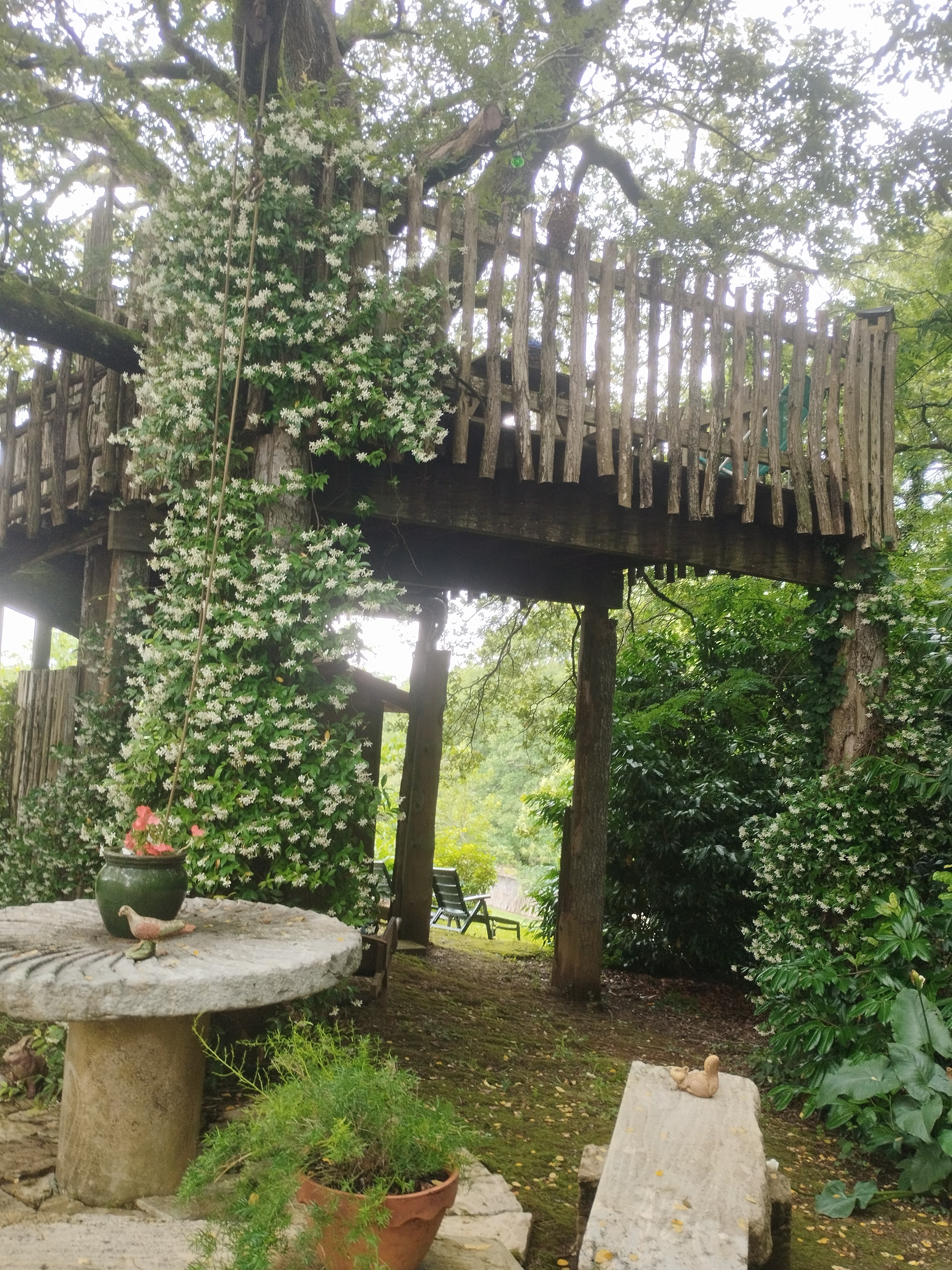 Cabane dans les arbres : la Papyjotte, Montfort-en-Chalosse - photo 17