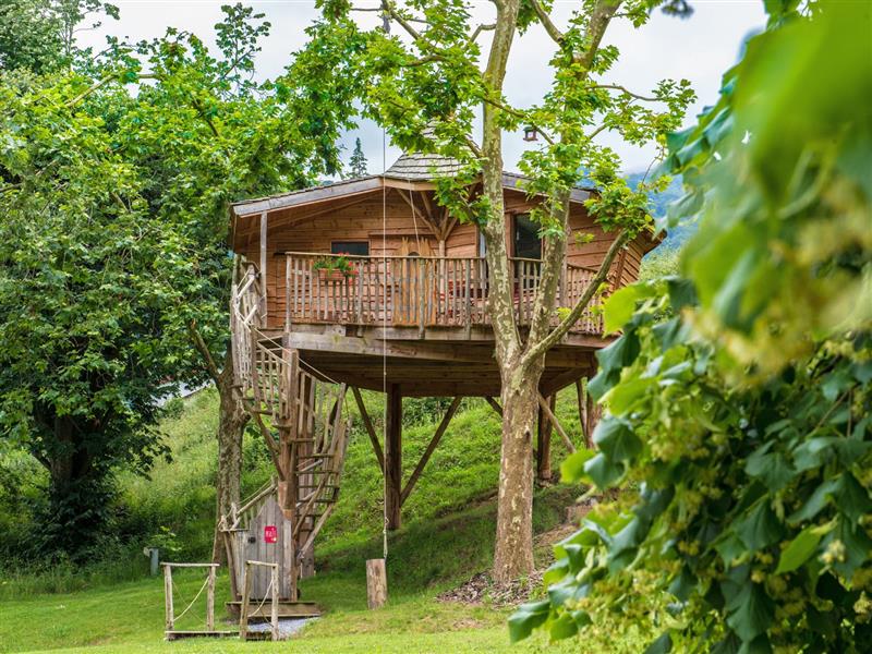 La Cabane perchée