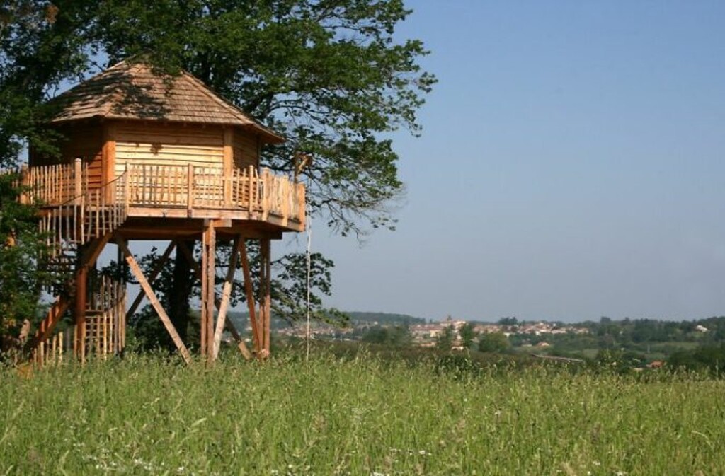 Cabanes perchées dans les arbres