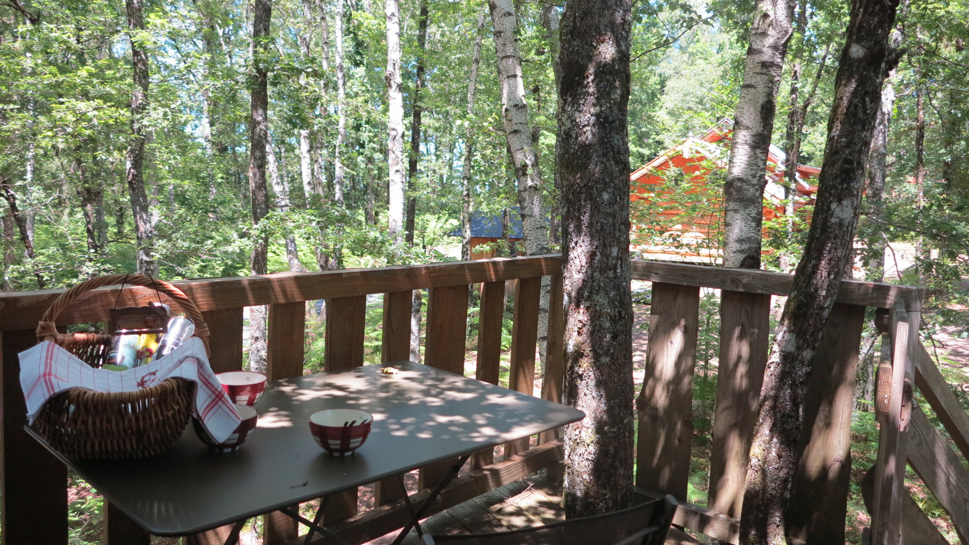 Domaine des 5 Eléments, Camps-Saint-Mathurin-Léobazel - photo 27