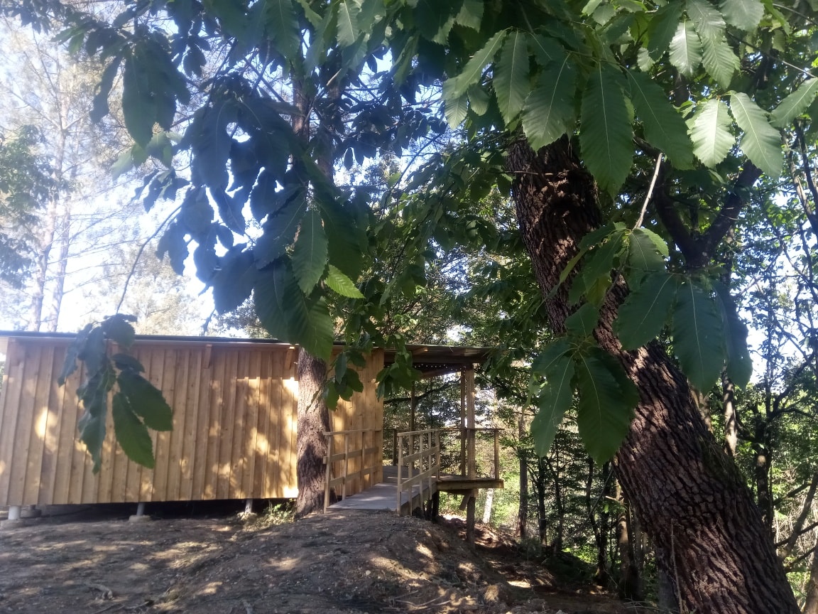 Les Cabanes de Brocas - Cabane 2, Bélus