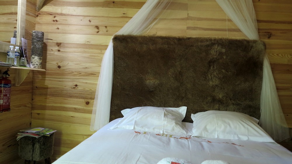 Domaine des 5 Eléments, Camps-Saint-Mathurin-Léobazel - photo 20