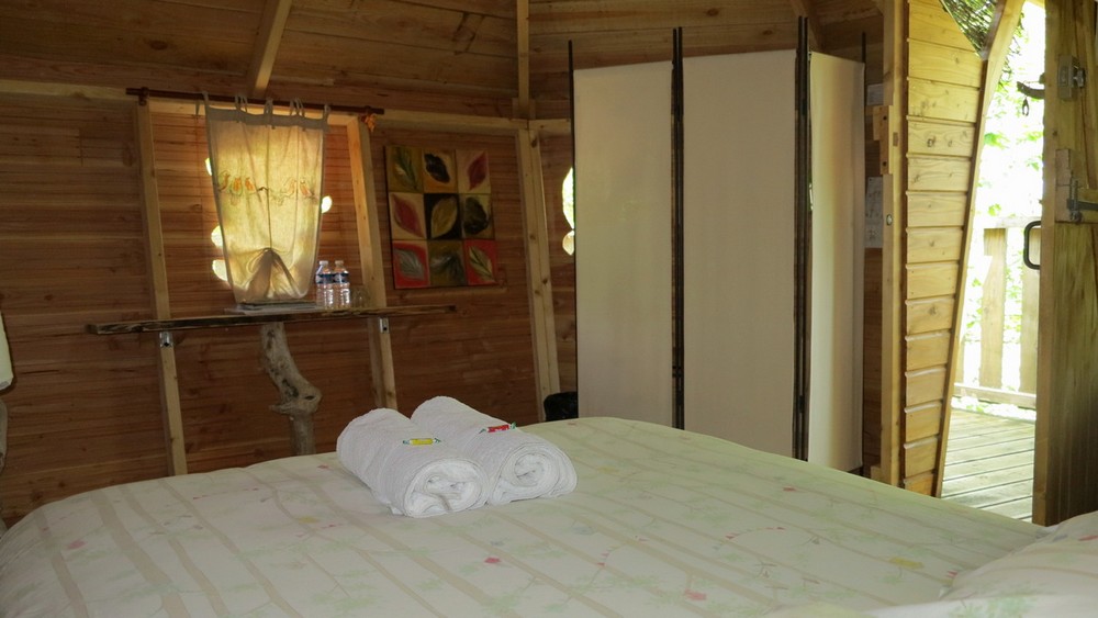 Domaine des 5 Eléments, Camps-Saint-Mathurin-Léobazel - photo 30