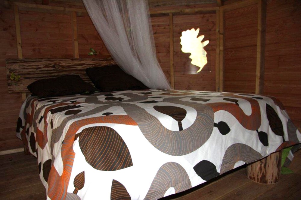 Domaine des 5 Eléments, Camps-Saint-Mathurin-Léobazel - photo 29