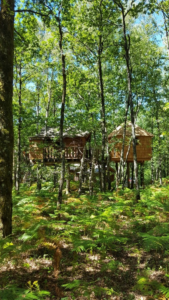 Domaine des 5 Eléments, Camps-Saint-Mathurin-Léobazel - photo 4