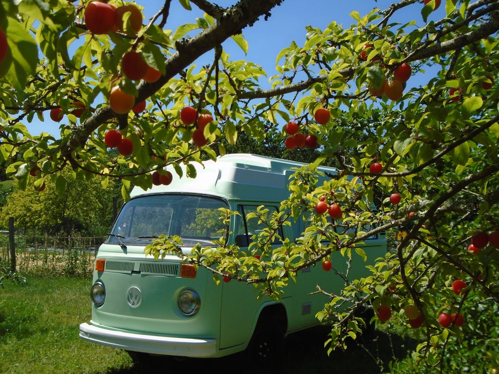 Cablanc Les Vacances Authentiques, Saussignac - photo 7