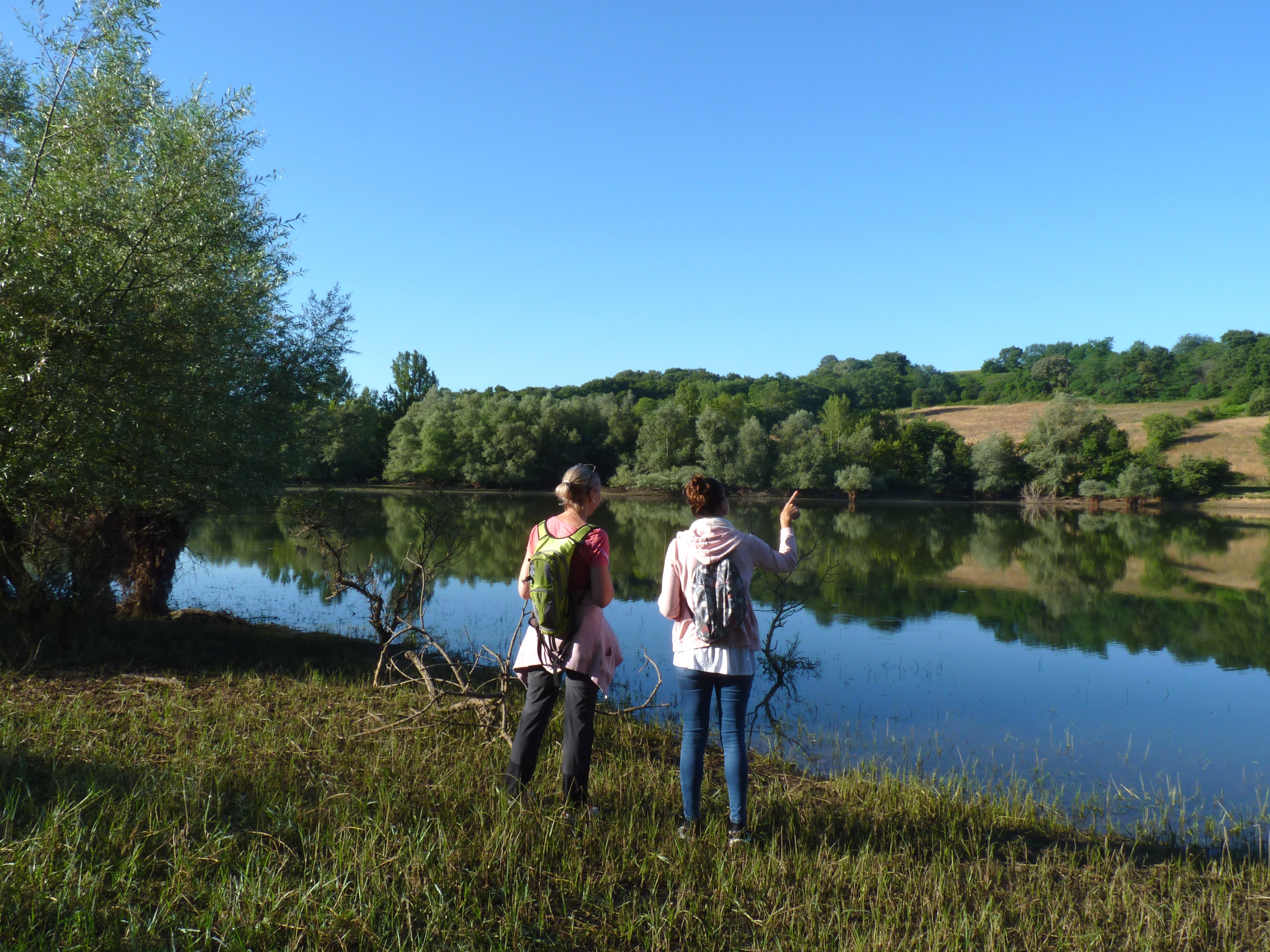 Lac, Cadillon - photo 5