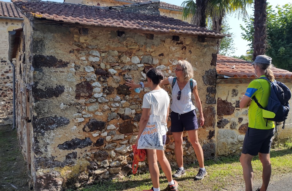 Balades Cultures et Nature : Cadouin: quand les moines observent les insectes, Le Buisson-de-Cadouin - photo 2