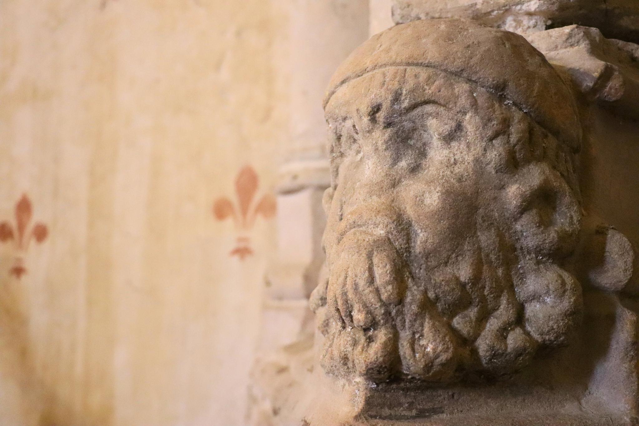 Eglise Saint Girons et sa charpente, Monein - photo 10