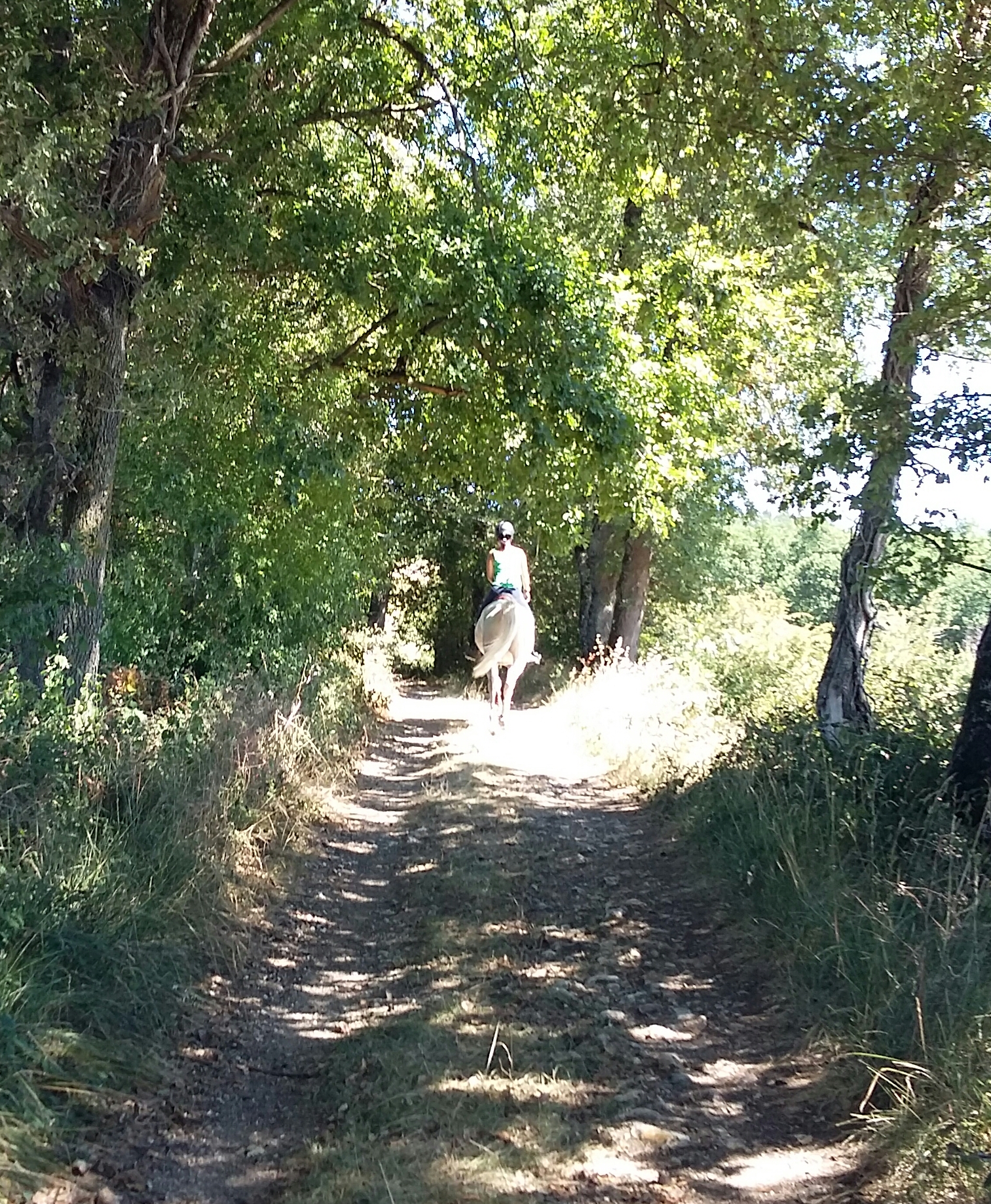 Cailladelles, randonnée de Crouzillac à Pech Redon, Castelnaud-de-Gratecambe - photo 3