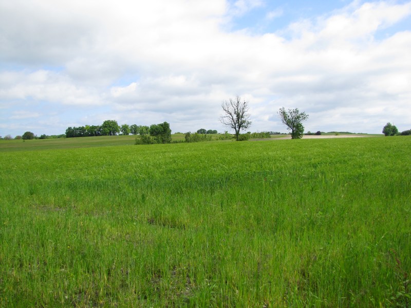 Plateau de Faux-Issigeac, Issigeac - photo 10