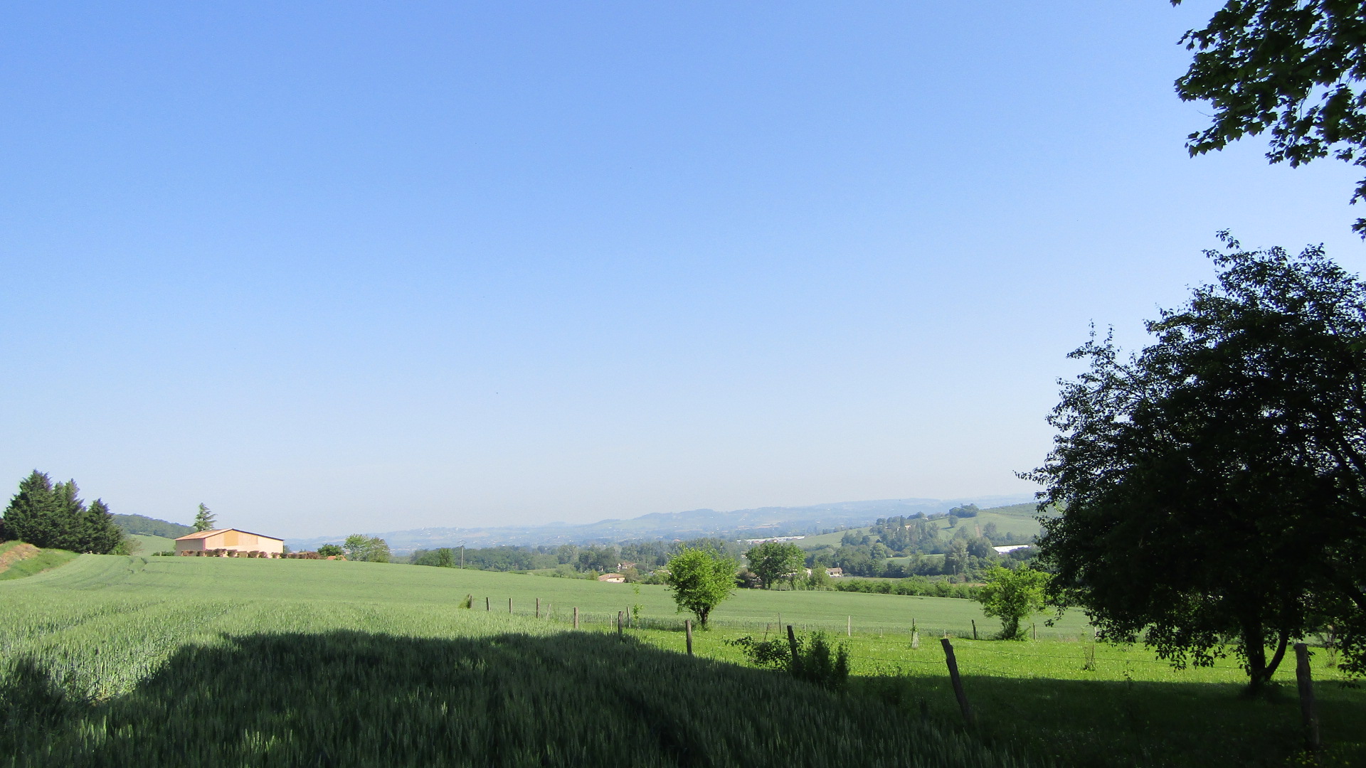 Gite du Domaine de Calbiac, Dolmayrac - photo 14