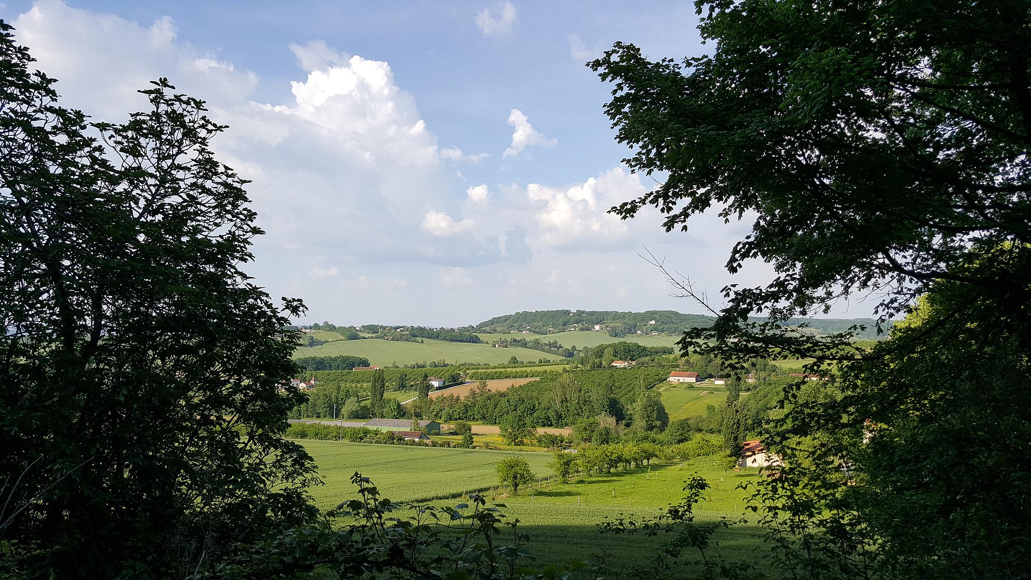 Gite du Domaine de Calbiac, Dolmayrac - photo 8