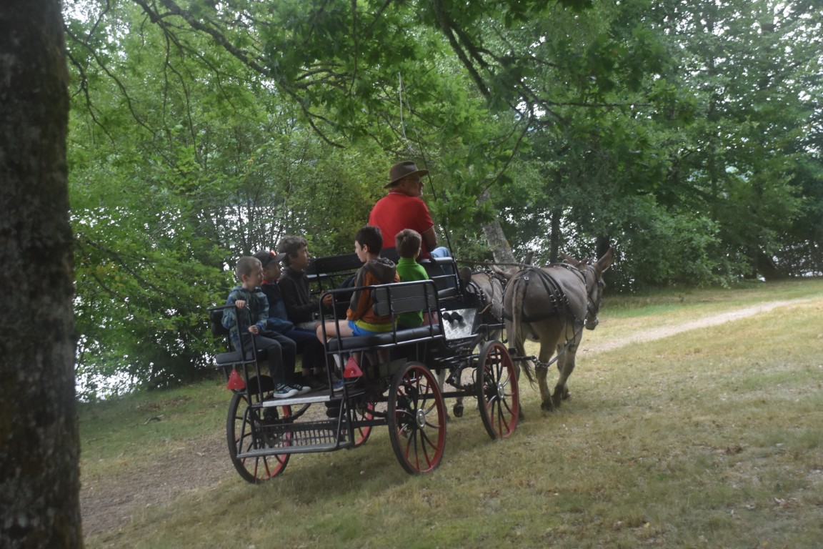 Fête de la Myrtille - 12ème édition - Lac de Vassivière - photo 2