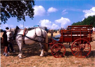EARL Les Flandres Occitanes