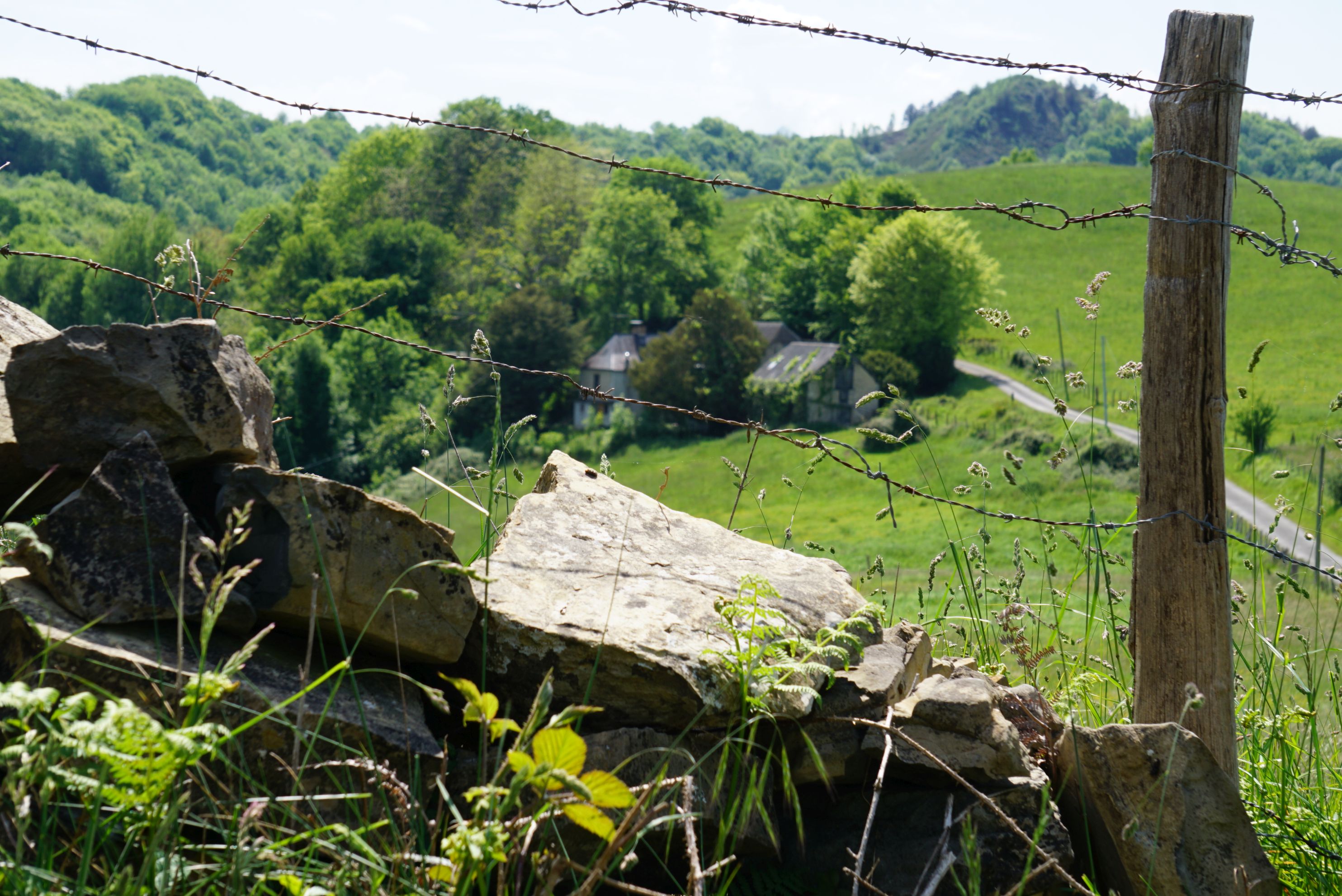 N°92 - Le Cambeillou, Esquiule - photo 5