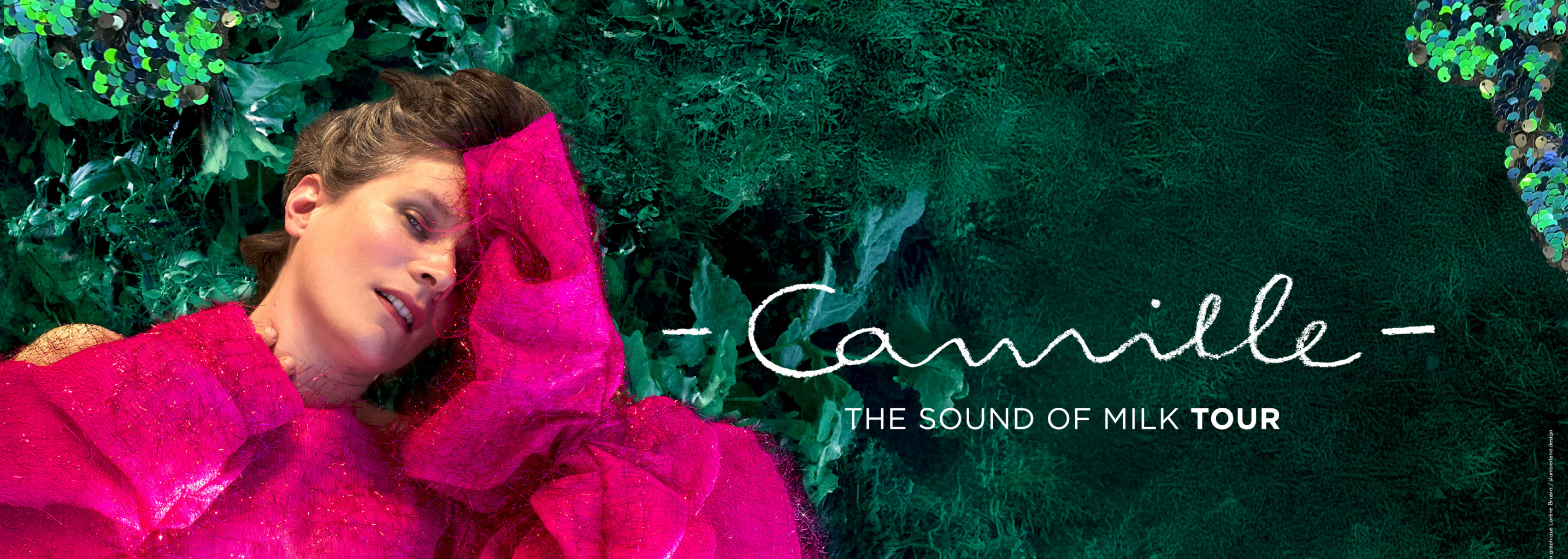 Centre Culturel : Camille
