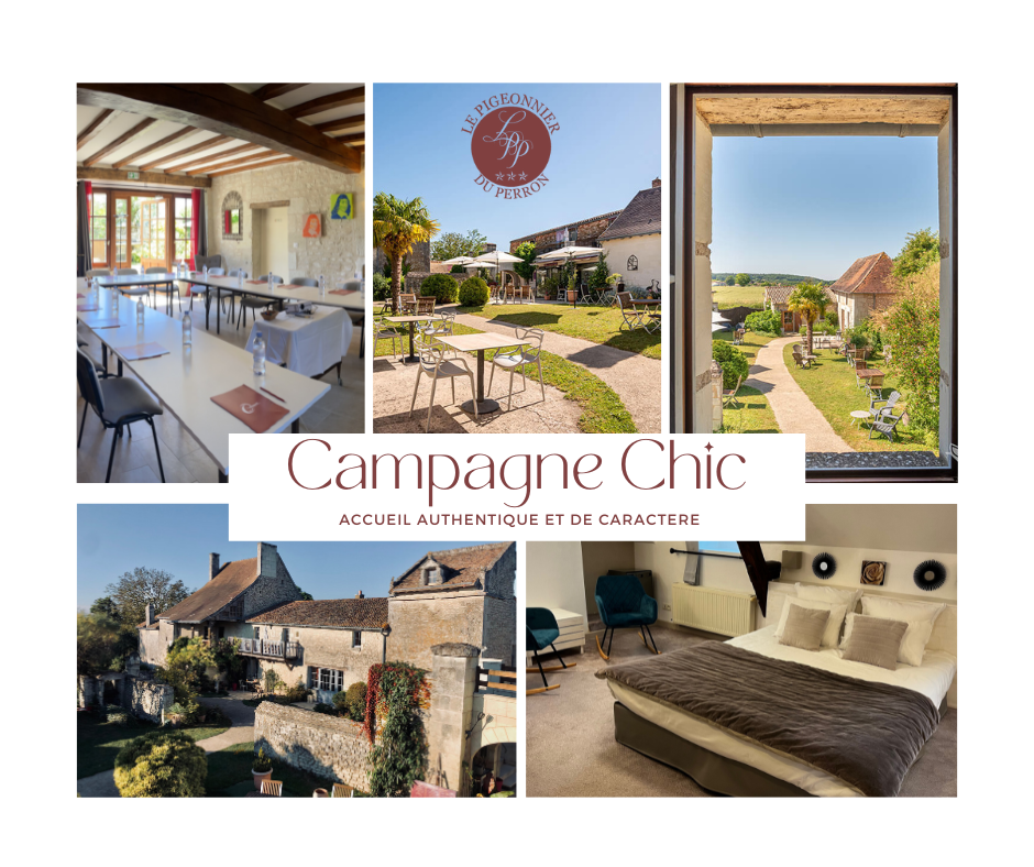 Hôtel Le Pigeonnier du Perron, Availles-en-Châtellerault - photo 7