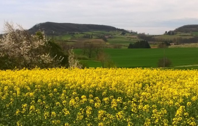Point de vue de Monségur, Monségur - photo 2