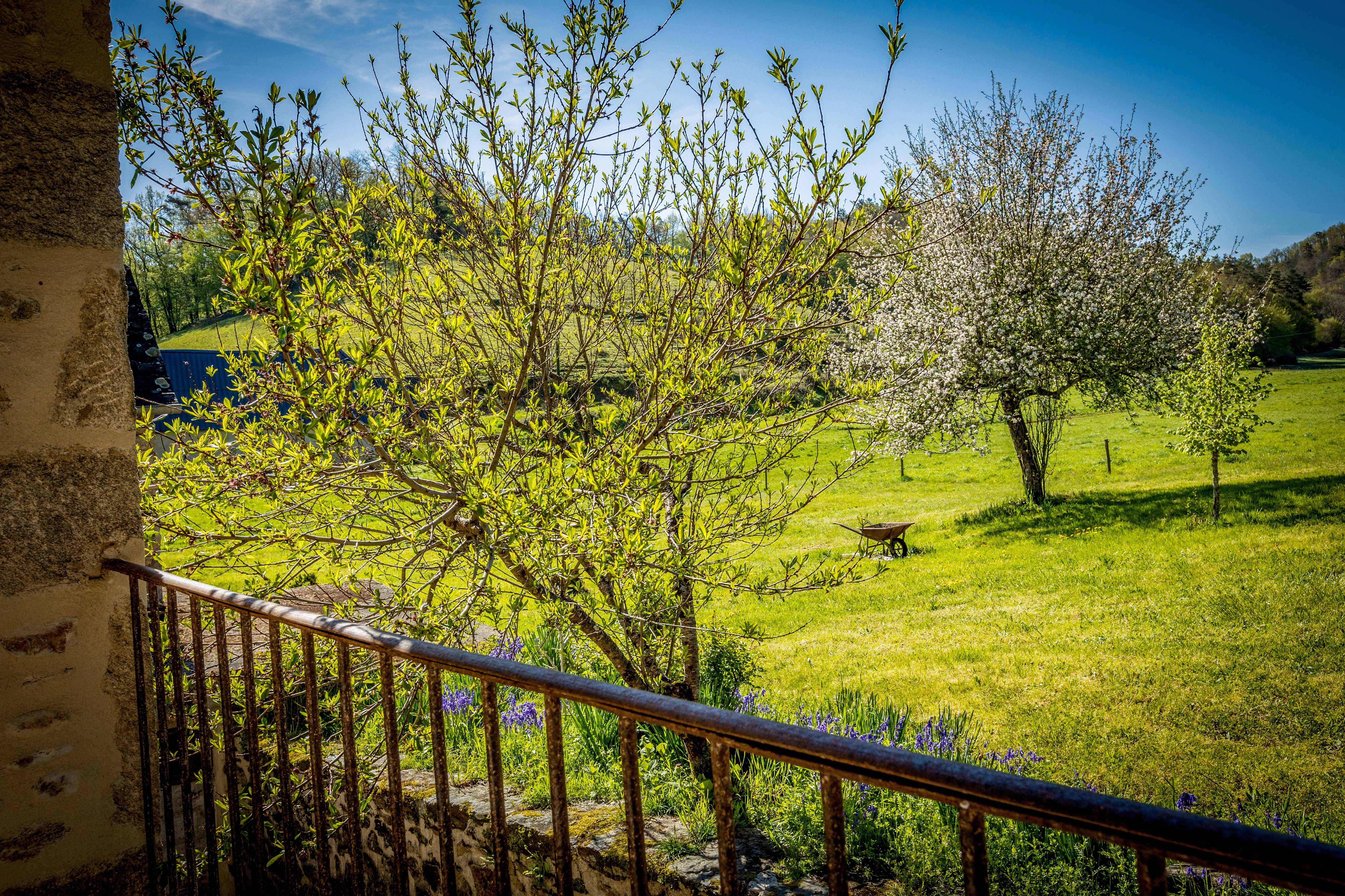 Un instant chez Marguerite