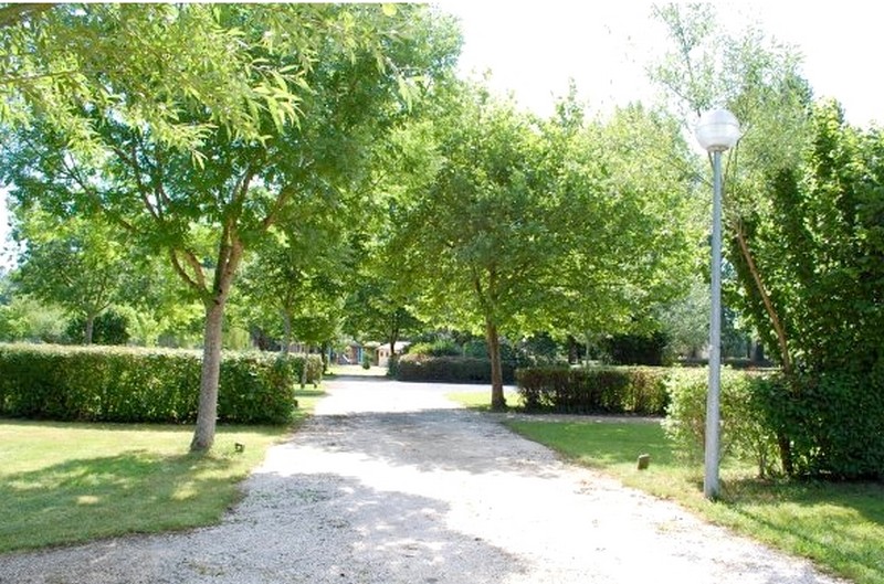 Camping municipal le Pont, Lisle - photo 6