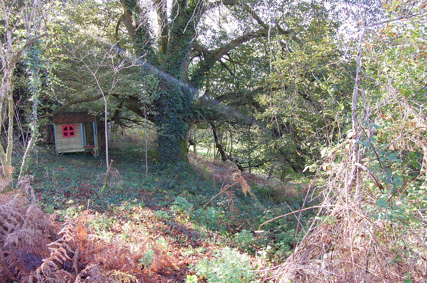 Camping & Guinguette du Touroulet - Cocon des Canailles - photo 5