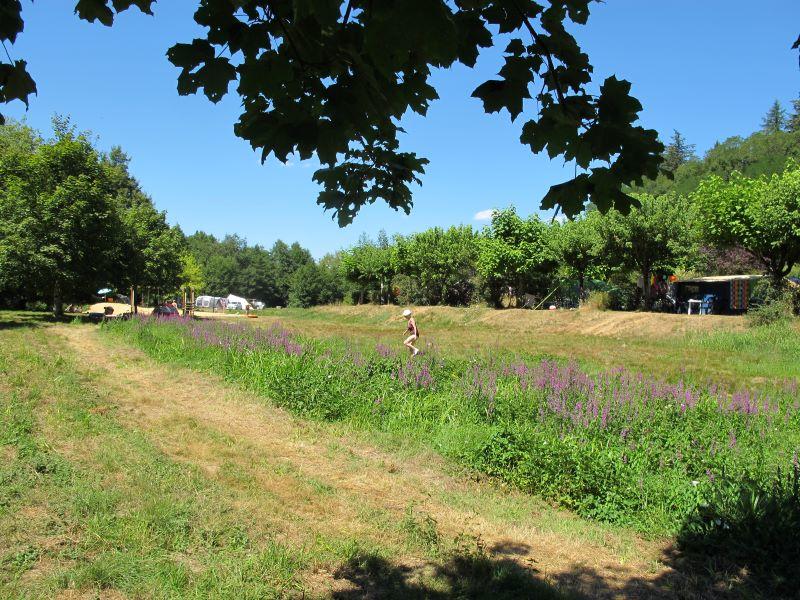 Camping La Chatonnière - photo 4