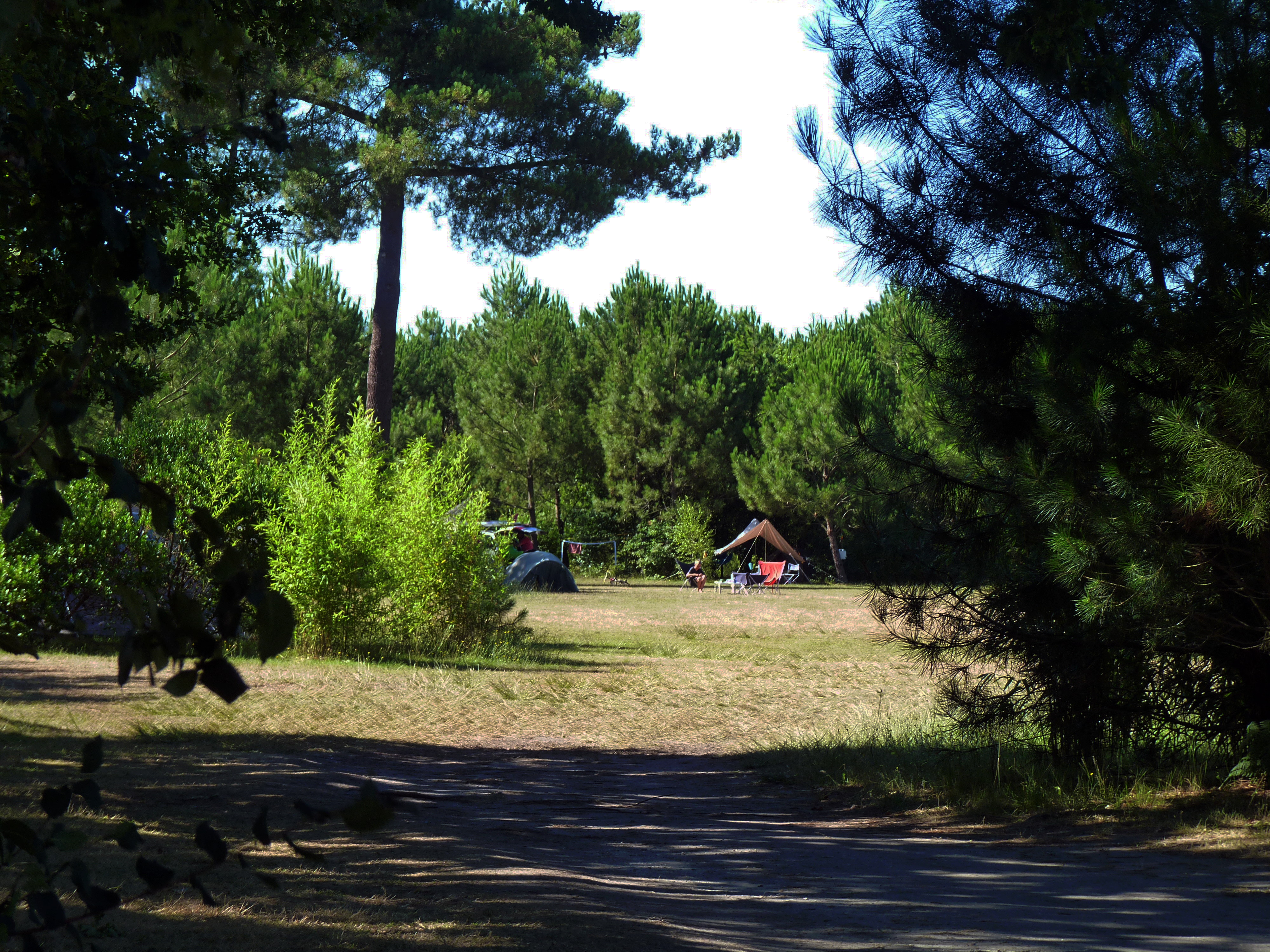 Camping l'Acacia - Aire naturelle, Hourtin