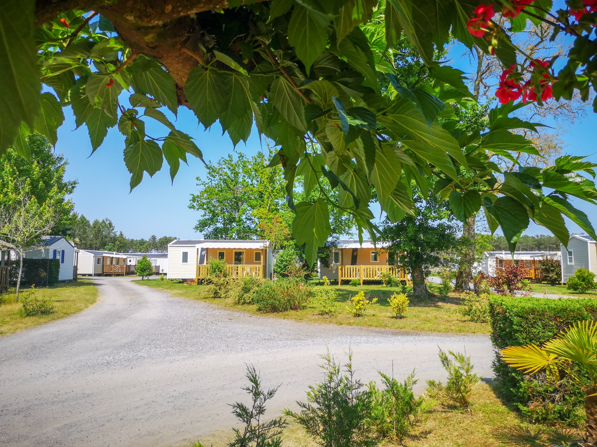 Camping Landes Azur, Azur - photo 25