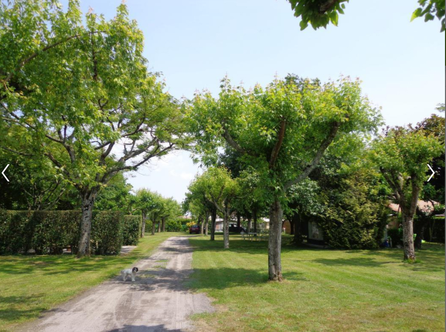 Camping rural Bireben