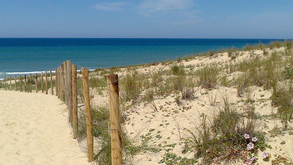 Camping Brémontier - photo 3