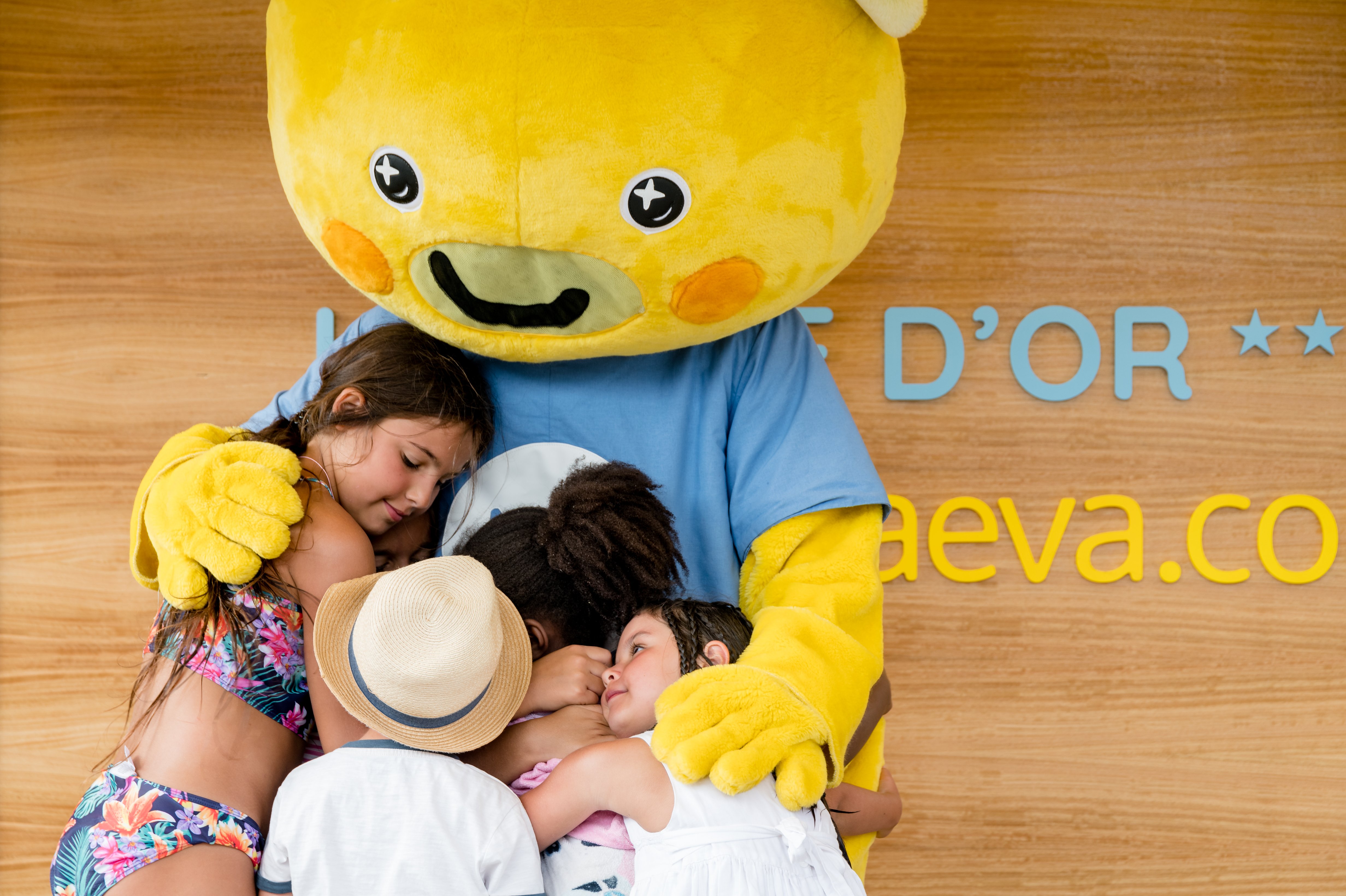 Camping l'Arbre d'Or, Parentis-en-Born - photo 12