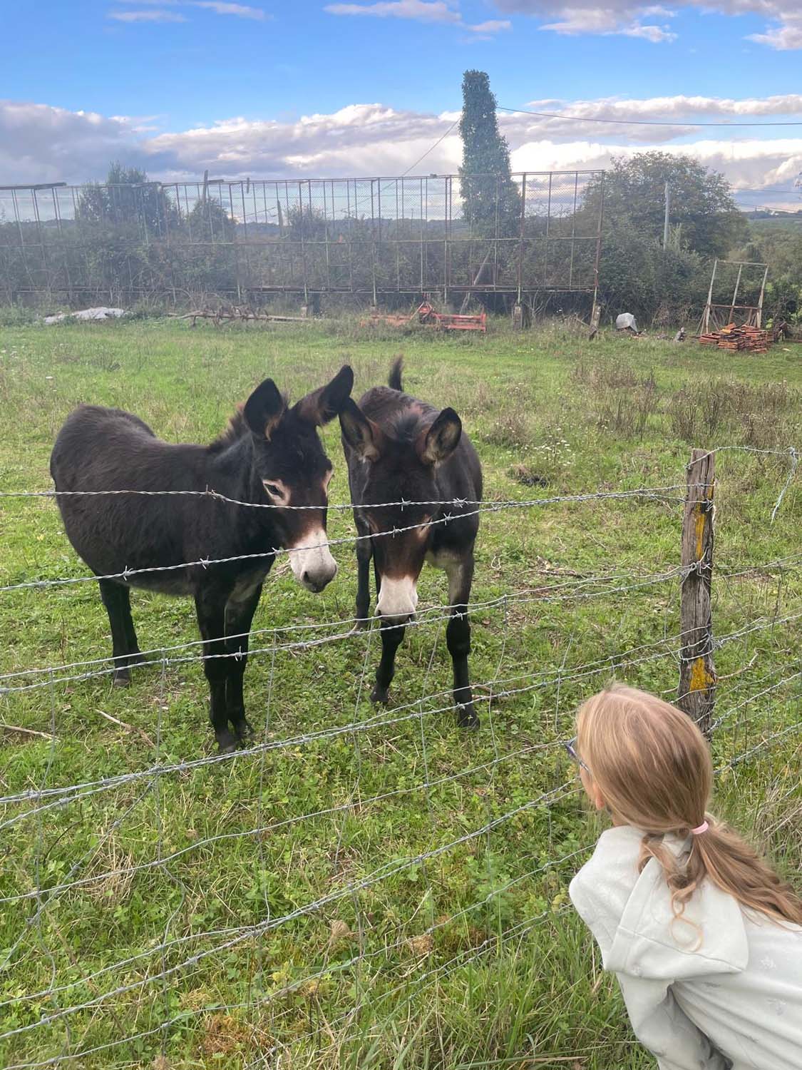 Camping La Roussie, Proissans - photo 5