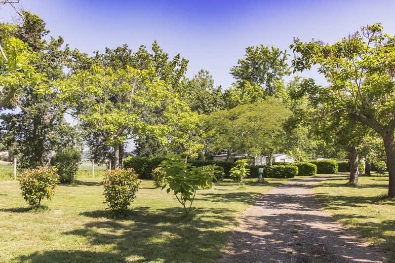 Camping Le Mouliat - photo 5