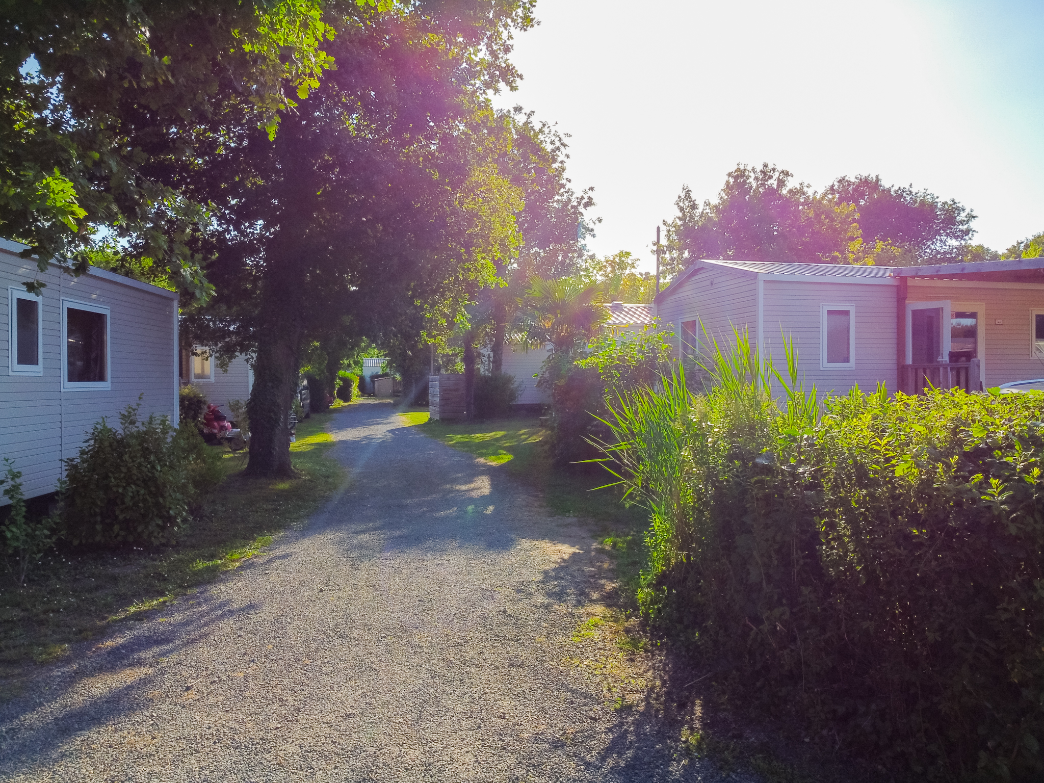 Camping Le Paradis, Saint-Laurent-Médoc - photo 59