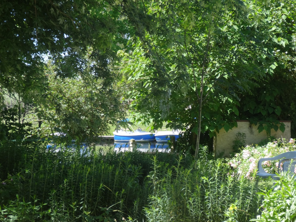 Promenade en bateau électrique, Neuvic - photo 6