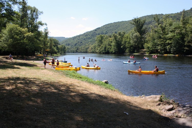 Camping Le Saulou - photo 2
